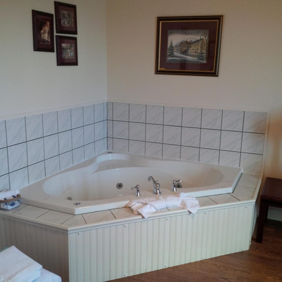 Combined shower/tub, free toiletries, hair dryer, towels