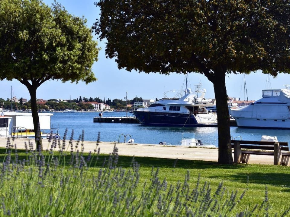 Marina