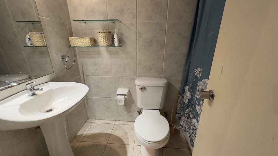 Chalet | Bathroom | Shower, towels