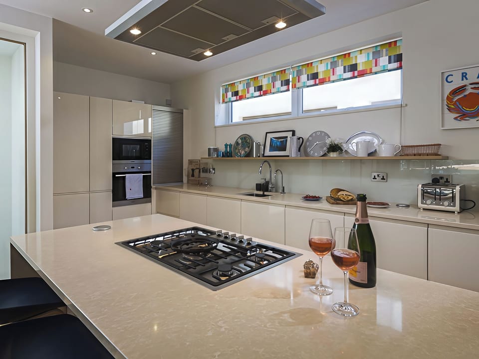Fridge, dishwasher, cookware/dishes/utensils