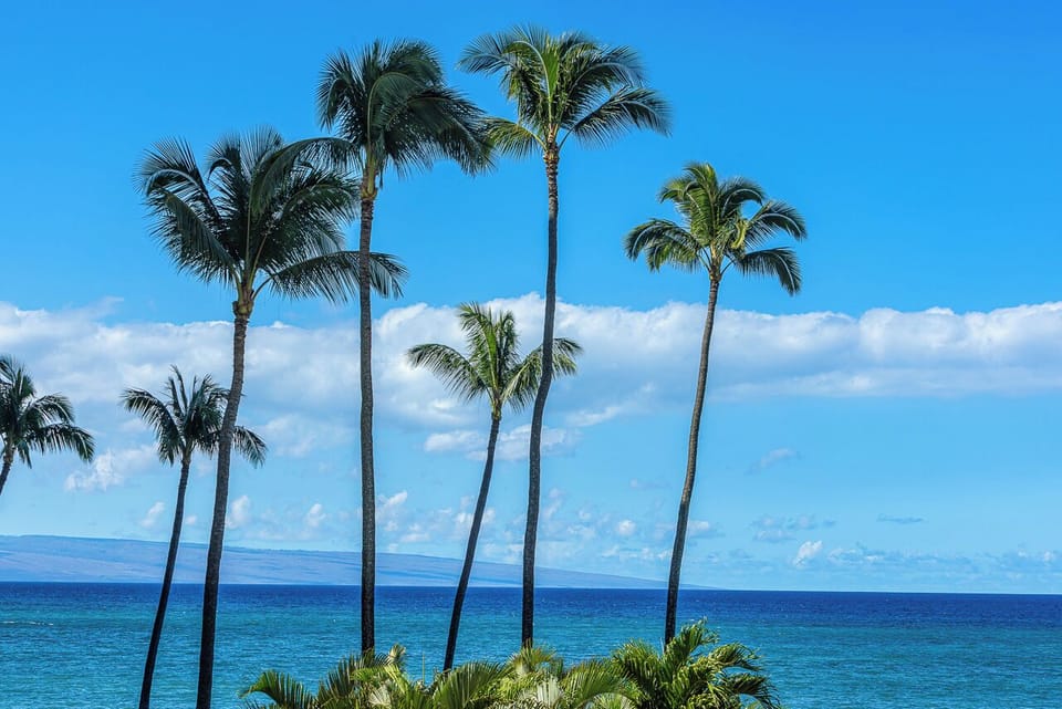 Tropical palms frame the stunning turquoise ocean under bright blue skies, showcasing the beautiful natural setting surrounding the property.