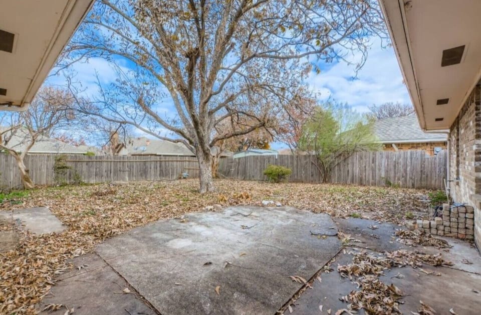 Spacious yard for fun