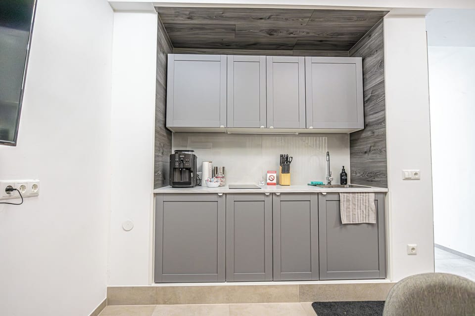 Basic Apartment | Private kitchen | Fridge, microwave, oven, stovetop