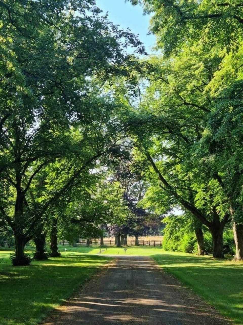Driveway