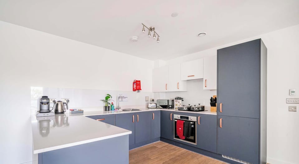 Modern kitchen with dishwasher and full appliances