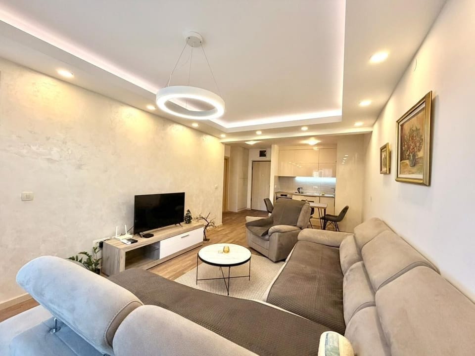 Luxury Apartment, Balcony, City View | Living area | 42-inch LCD TV with cable channels