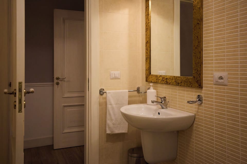 Hair dryer, bidet, towels