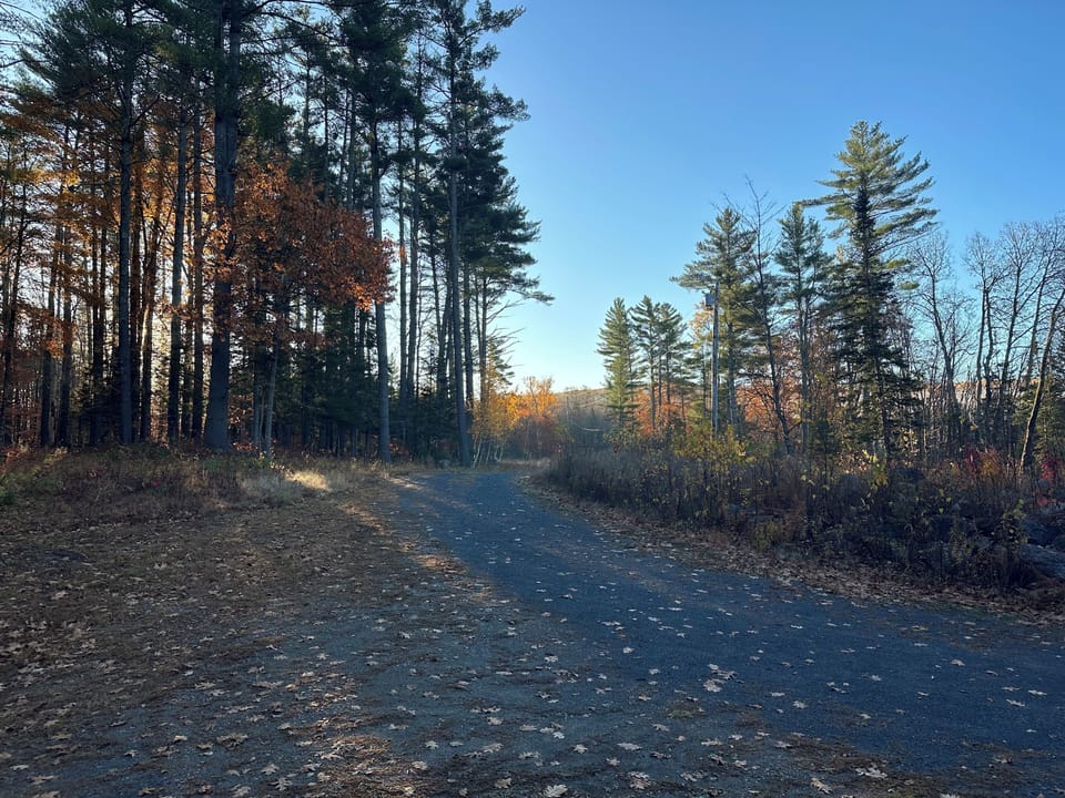 Driveway, cabin is set back 500' from low-traffic road.