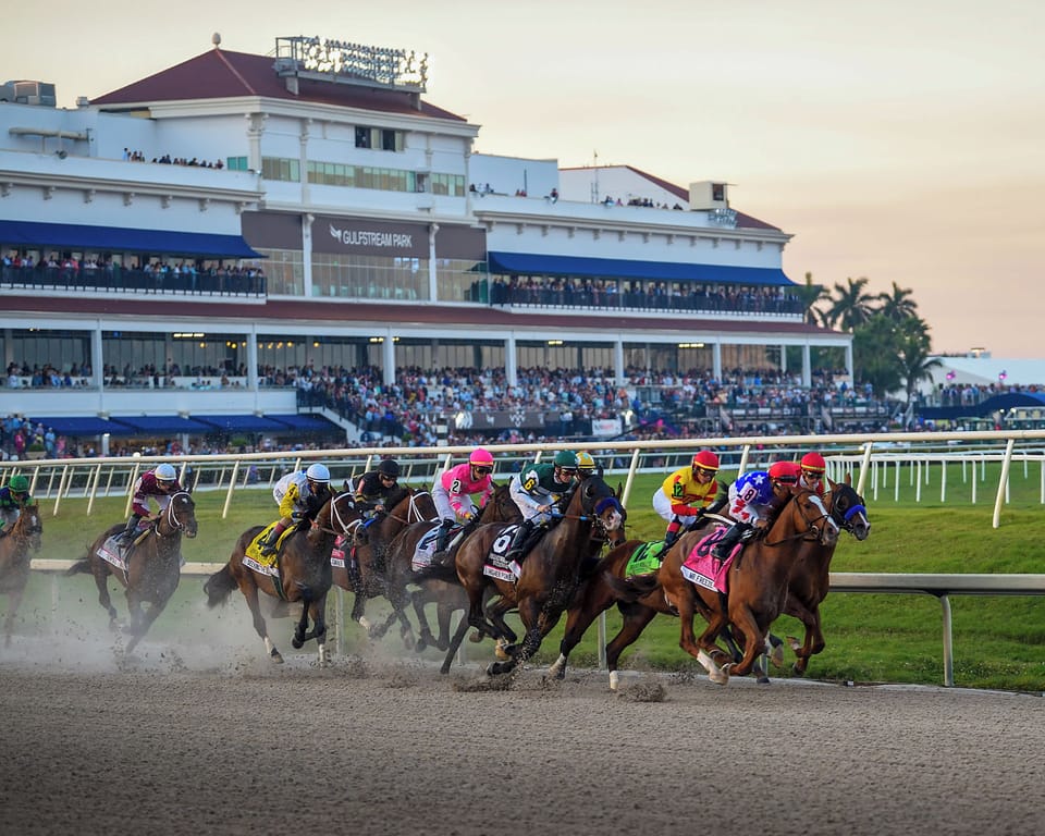 Home to the second-largest statue in the Americas, Pegasus. If you’ve never visited Gulfstream Park, it’s a must: shopping, dining, nightlife, and of course, live racing!