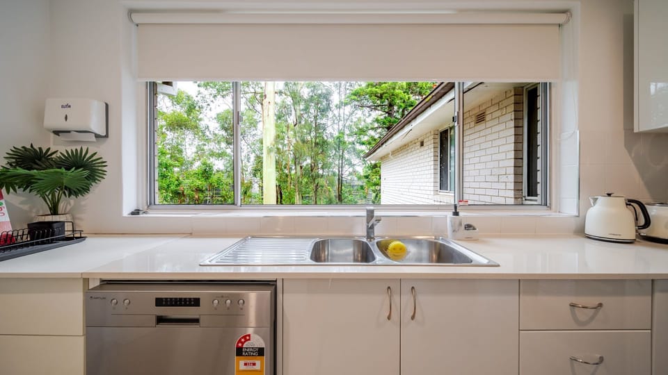 Kitchen window overlooking peaceful greenery