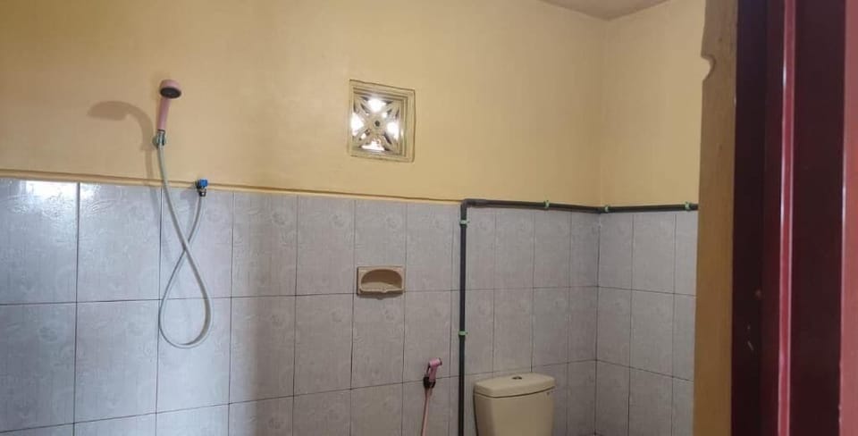Deluxe Double Room | Bathroom | Shower, free toiletries, towels, toilet paper