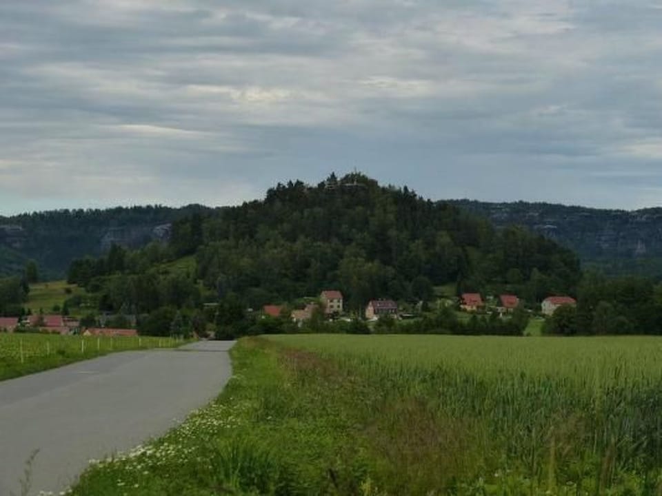 View