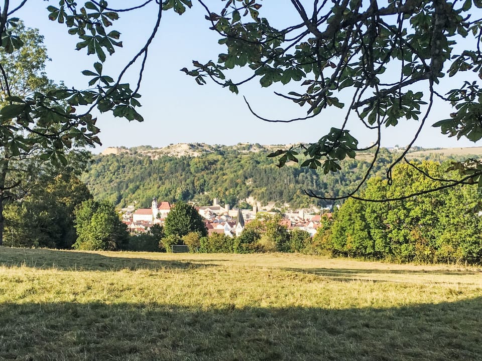 View