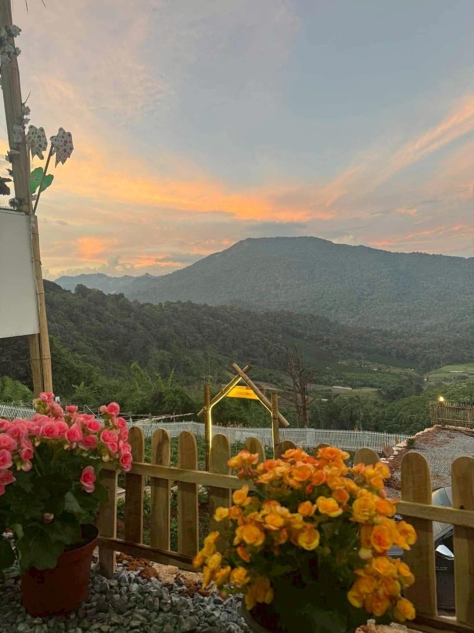 Garden view