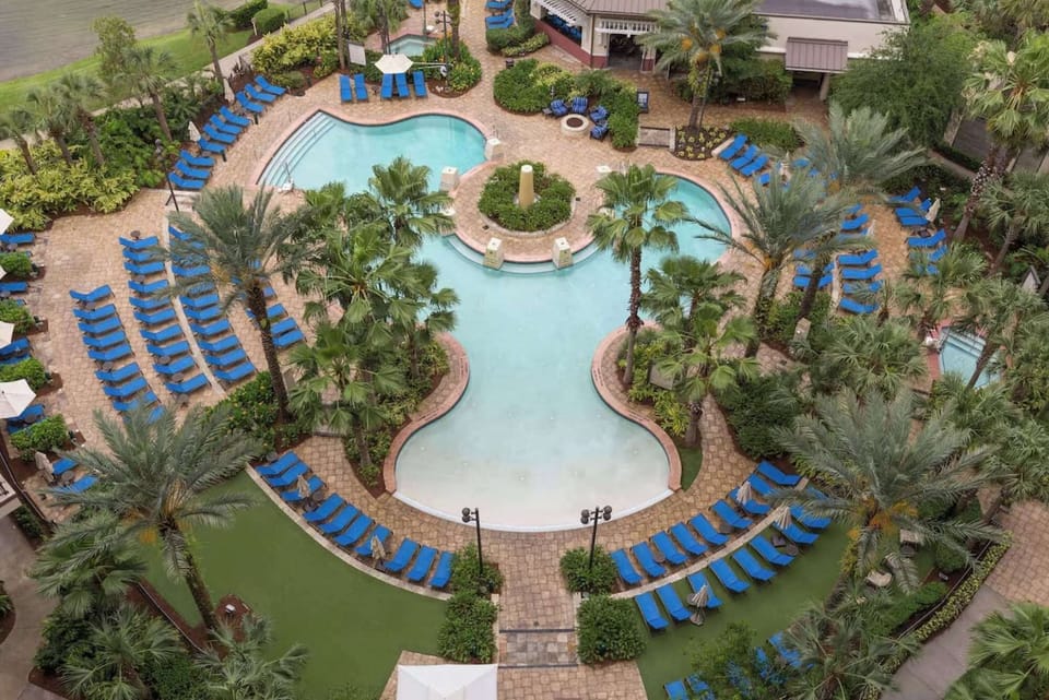Aerial view of pool lined with blue lounge chairs and lush greenery