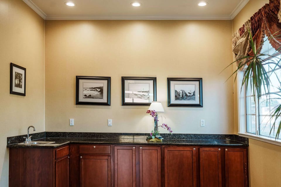 Counter space with sink, dark cabinets, and framed wall art