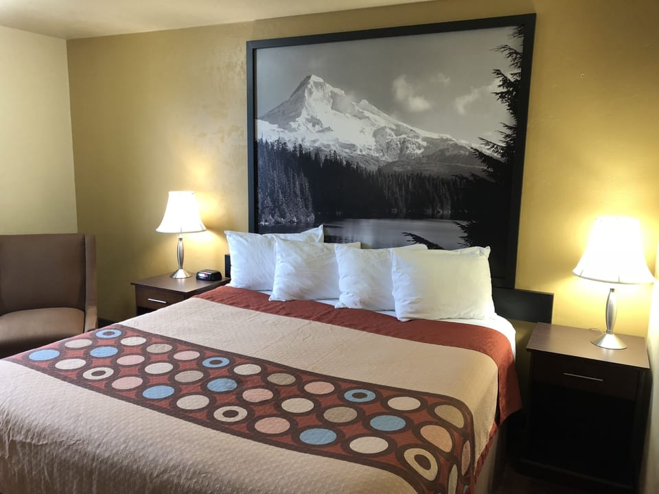 Room, 1 King Bed, Non Smoking | Desk, laptop workspace, iron/ironing board, free cribs/infant beds