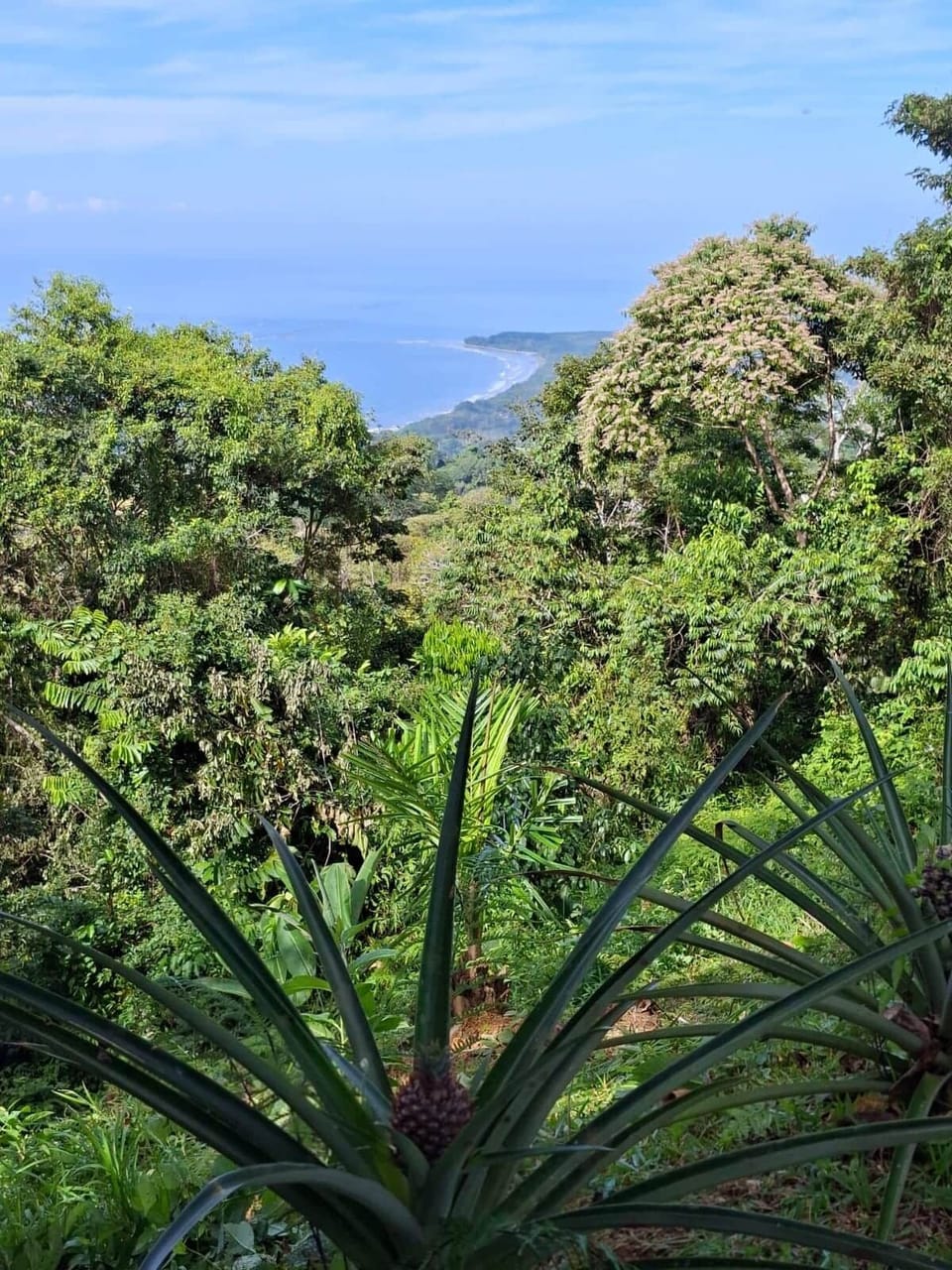 NATURE & OCEAN VIEW