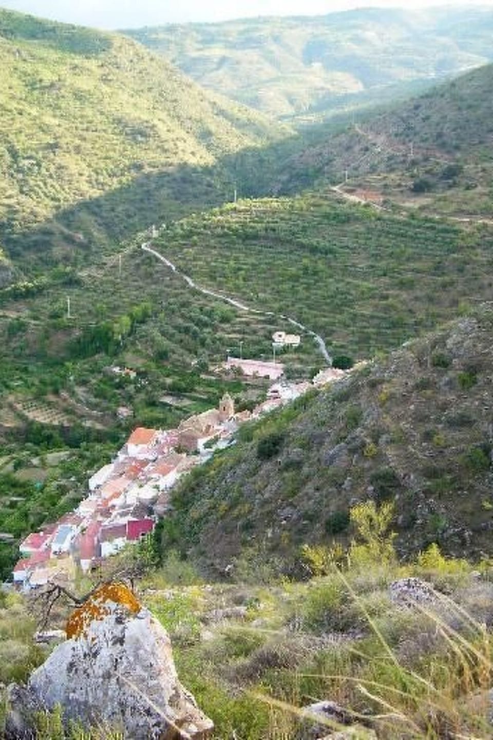 View