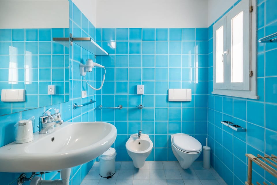 Hair dryer, bidet, towels, toilet paper