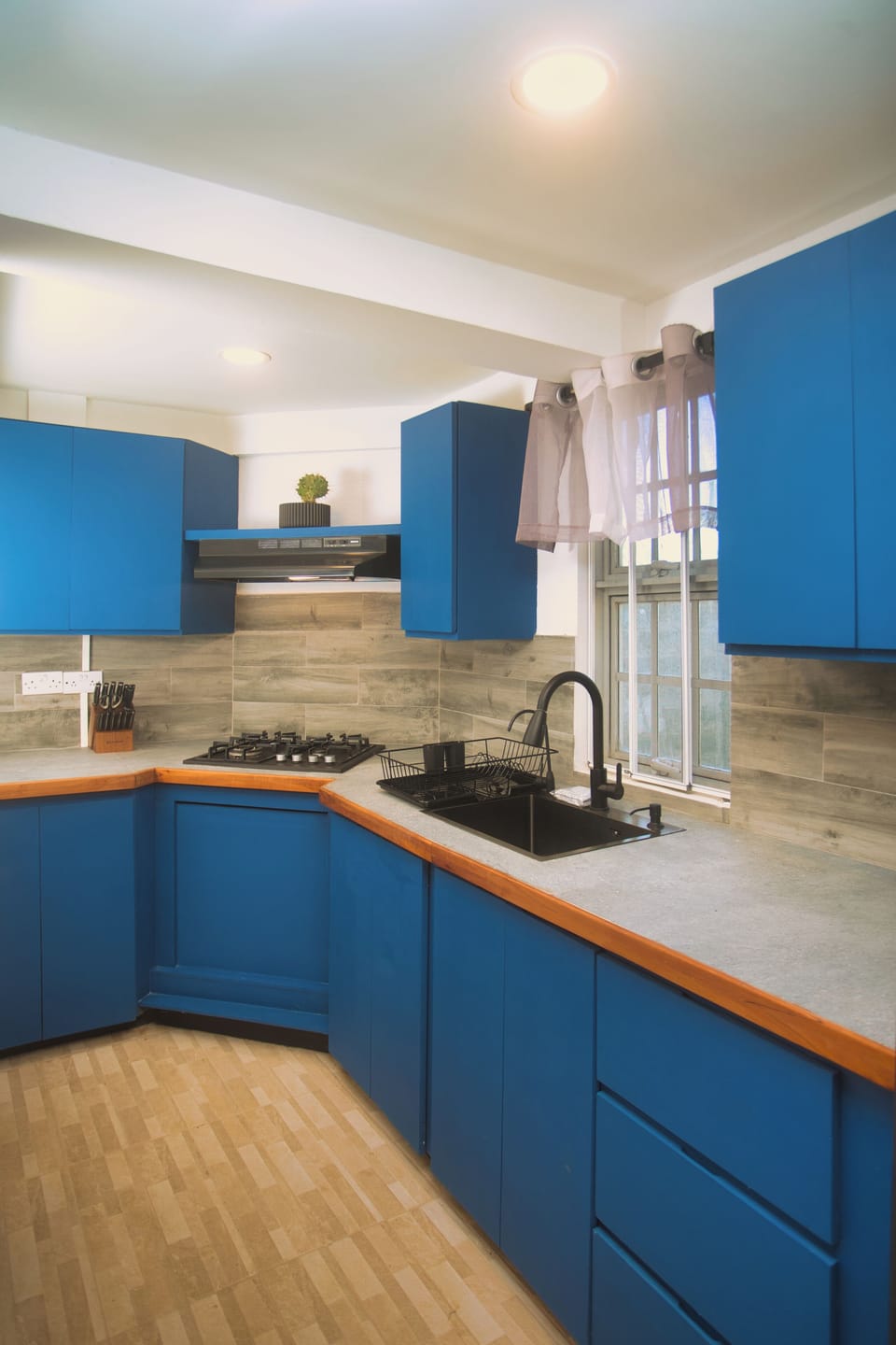 Modern kitchen with bold blue cabinets and a gas stove setup.