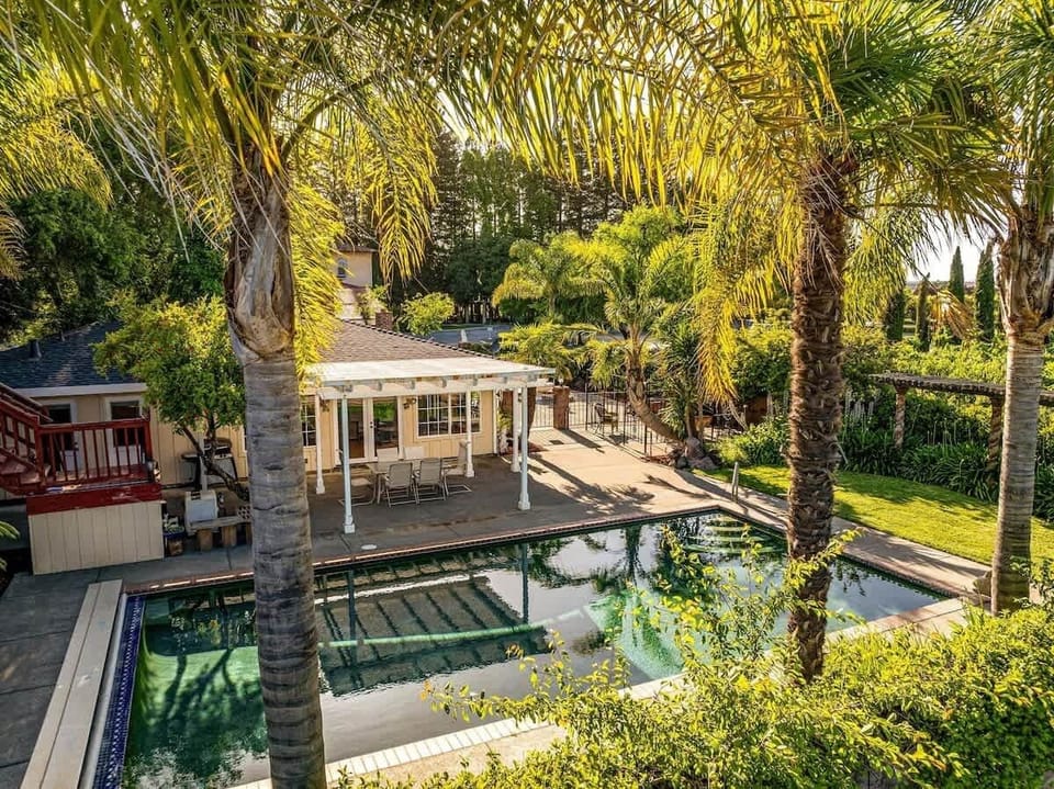 Secluded backyard oasis with pool and lush palm trees