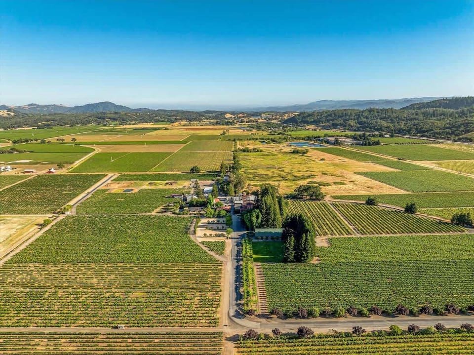 Expansive vineyard views perfect for peaceful countryside escapes