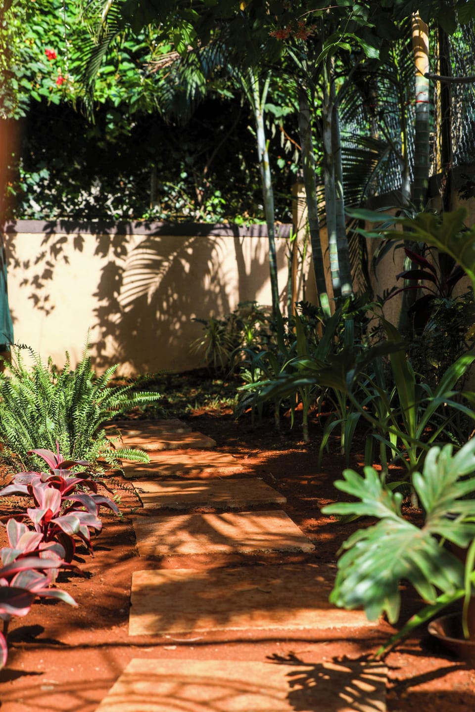 Garden view