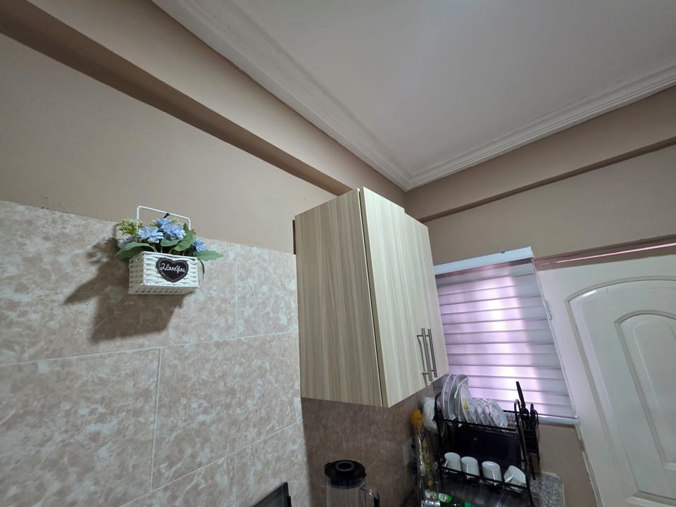 Deluxe Apartment, Mountain View | Private kitchen