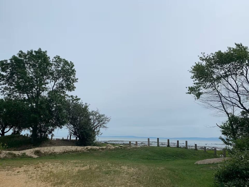 Nature's canvas, the breeze whispers hello.