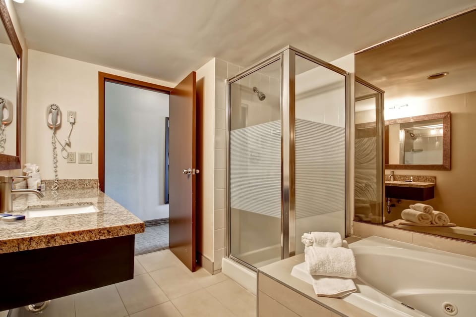 Standard Room, 1 King Bed, Non Smoking, Jetted Tub (with Sofabed) | Bathroom | Free toiletries, hair dryer, towels