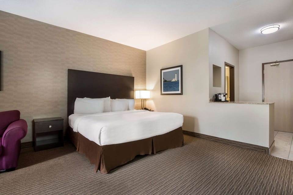 Business Room, 1 King Bed, Non Smoking, Refrigerator (with Sofabed) | Desk, laptop workspace, iron/ironing board, free WiFi