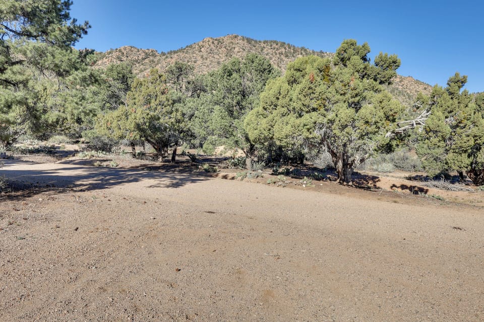 Surrounding Area