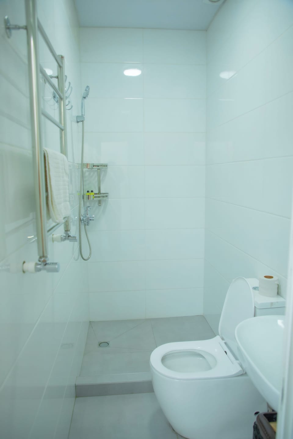 Deluxe Double or Twin Room | Bathroom | Free toiletries, hair dryer, towels, soap
