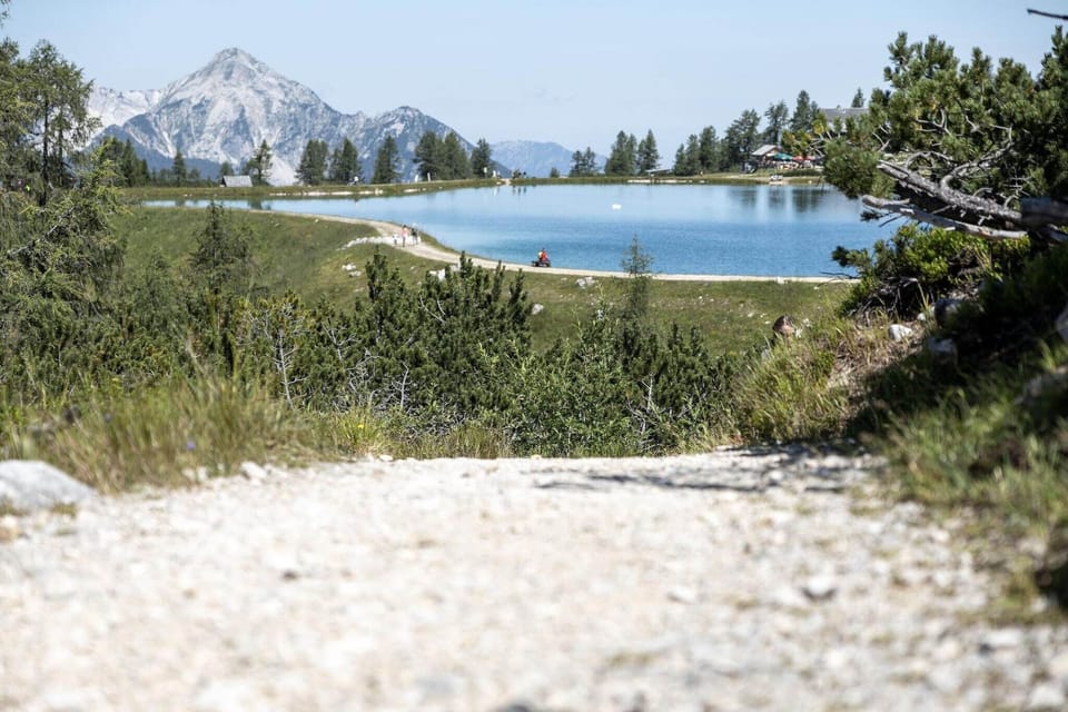 Surroundings [summer] (1-5 km)