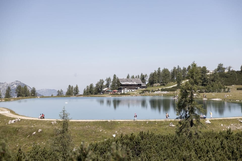 Surroundings [summer] (1-5 km)