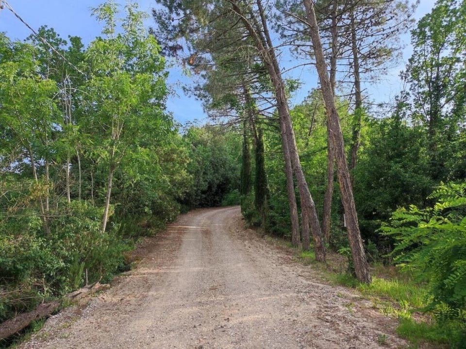 Land view from property