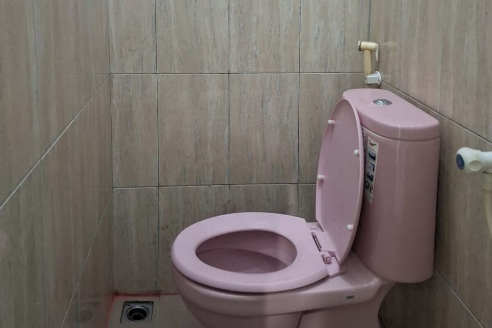 Deluxe Room | Bathroom | Bidet, towels