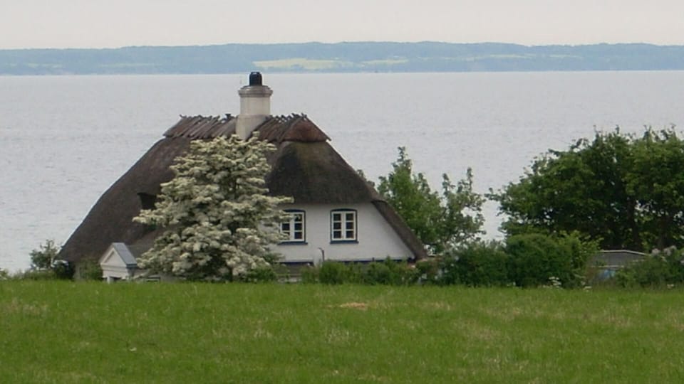area
