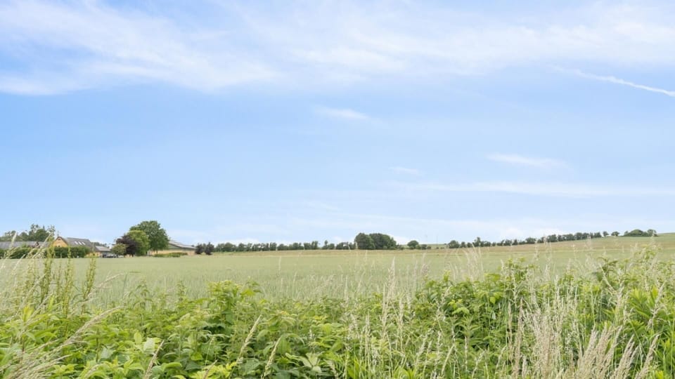 area