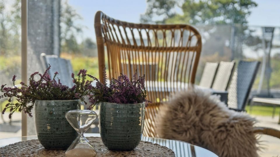 living-dining-room