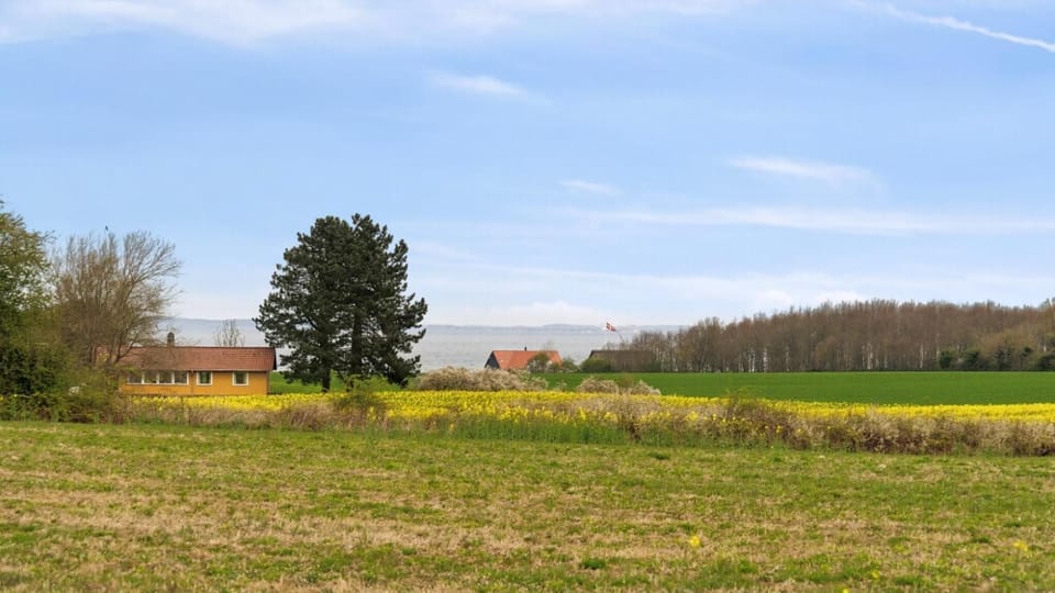 area