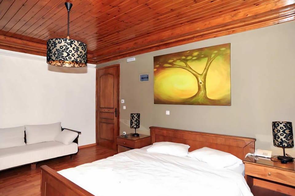 House | 1 bedroom, Internet