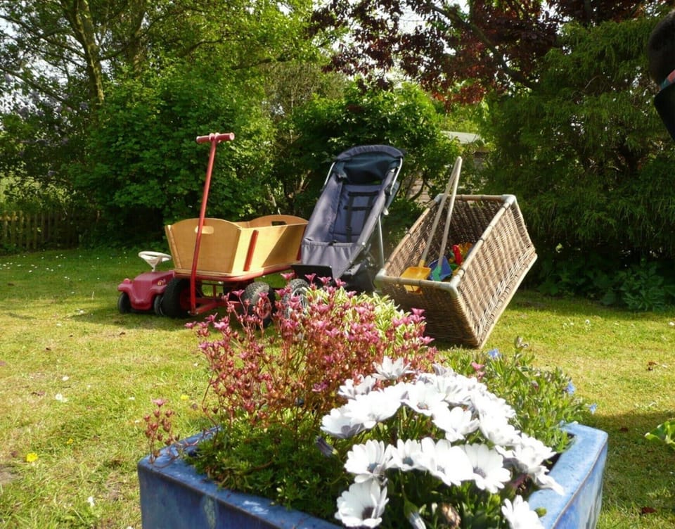 Garden [summer]