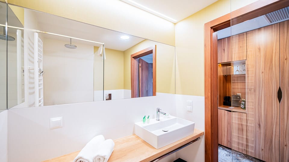 Superior Double Room | Bathroom | Shower, hair dryer, towels, soap