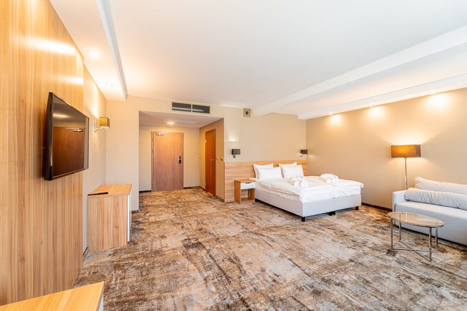 Executive Double Room | Desk, laptop workspace, cribs (surcharge), WiFi (free)