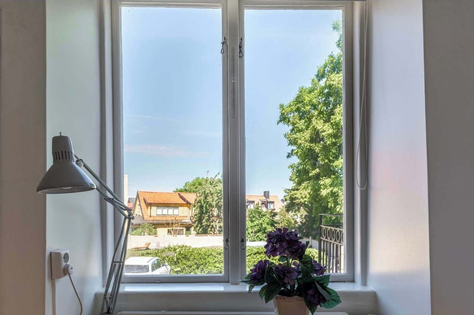 Great view through the window.