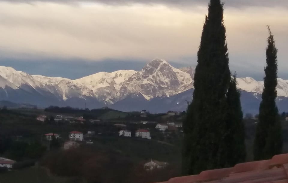 view-from-room
