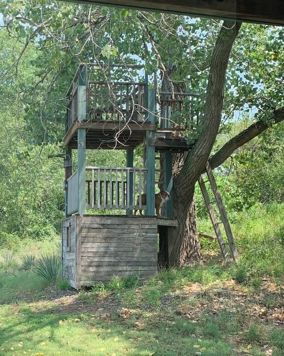 Three Story Tree House