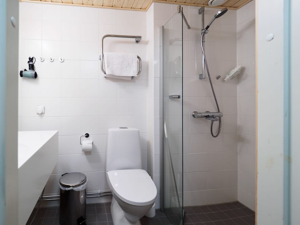 Shower, hair dryer, bidet, towels